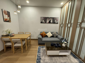 Chính chủ cần cho thuê gấp chung cư 1PN full đồ chỉ việc vào ở Láng Thượng Đống Đa