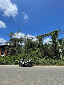 Mặt tiền Tạ Thị Phi ngang 10 mét xây trọ bao đẹp khách ơi