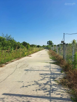 Bán gần một công đất vườn Phú Thứ, Cái Răng, Cần Thơ lộ trước đất 4m hiện hữu phù hợp mua làm của