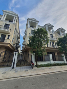 Tứ Lập Đảo Dừa 120m, mặt tiền 8m Phân Khu VVIP tại Vinhoomes Ocean Park 2.