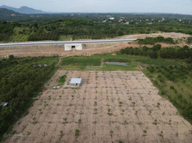 Chủ cần bán gấp lô đất vườn oto vào tận đất có nhà sẵn, xoài, ra khu dân cư và tiện ích xã vài phút