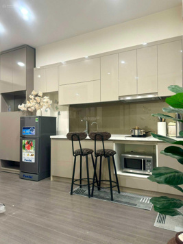 Chính chủ bán 02 căn 1 + 46m2: 2.56 tỷ và căn 2PN: 59m2: 2 tỷ 9, Vinhomes Smart City, nhà mới 100%