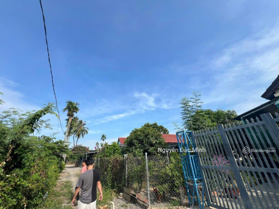 Nóng bán đất diên điền mát mẻ cao dân cư hòa đồng. Đất đẹp ngân hàng hỗ trợ vay 80%