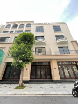 Hàng hiếm Cọ Xanh 80m2 ký trực tiếp CĐT, giá nhỉnh 8 tỷ tại Vinhomes Ocean Park 2