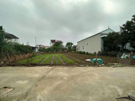 200m2 Đất lô góc đường 2 ô tô tránh nhau, gần đô thị, gần vành đai 4