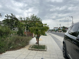 Cần bán gấp cắt lỗ còn 23tr5/m2