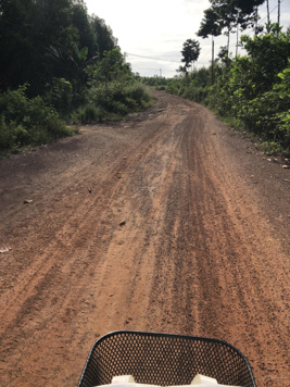 Đất đẹp giá rẻ . 1,2 héc ta đất cao ráo , sổ vuông vứt . Đường lớn rộng rãi . 1 sào chỉ :170 triệu