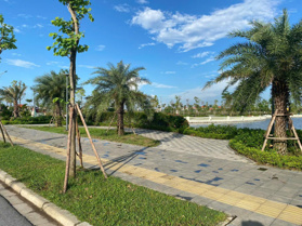 Khu đô thị Mới Bắc Cầu Hàn- lựa chọn vàng cho nhà đầu tư.