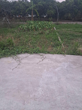 Chính chủ cần bán. 1 Lô đất duy nhất còn sót lại Trực trang, bát trang. Ô tô đỗ tận cửa.