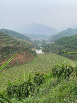 Chuyển nhượng đất trang trại 10ha