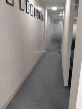 Chính chủ cho thuê sàn văn phòng mặt phố Xuân Thủy, Dịch Vọng Hậu, 115m2 phù hợp nhiều loại hình kd