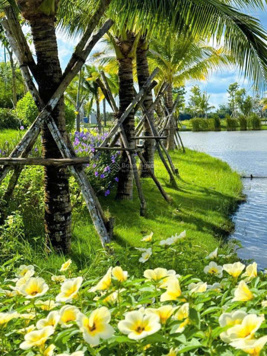 Mở bán đất nền biệt thự song lập Nam Long Cần Thơ 2, mua từ Chủ đầu tư, nhận sổ đỏ ngay