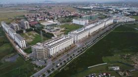 Bán lúa non Phong Xá, Đông Phong, Yên Phong, Bắc Ninh. LH 0977 432 923