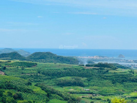 Bán 3000m2 đất nghỉ dưỡng An Thọ, Tuy An, view thấy biển, thành phố, cách biển 4km, giá 599 tr