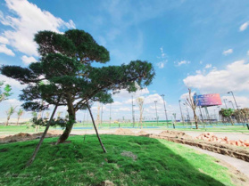 Cắt lỗ 500 triệu, bán nhanh lô đất 2 MT đường lớn 21m, sát trục đường xuyên tâm 45m Long Hưng City