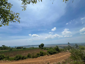 Bán gấp 4ha đất trồng cây View Đầm Ô Loan, Tuy An, Phú Yên - Giá đầu tư