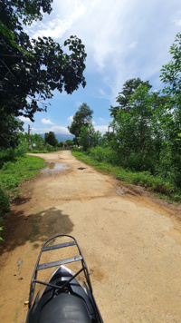 Gia đình bán lô đất 368m2, sổ hồng riêng, thổ cư 70m2, đường ô tô 5m, giá 150 triệu