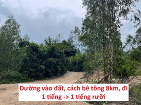10hec RSX tại Đồng Xuân, Phú Yên (chưa phát dọn) giá chỉ 28tr/ hec