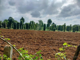 Đất thổ cư, diện tích 1100m2, view hồ Sông Hinh