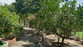 Ngôi nhà nông thôn đậm chất chữa lành, DT 5,100m2 giá 1.950 tỉ (còn tl) tại Đồng Xuân, Phú Yên