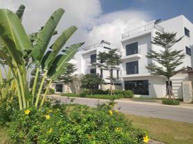 Chính chủ cần bán biệt thự Vlasta Sầm Sơn 231m2 giá thấp nhất thị trường