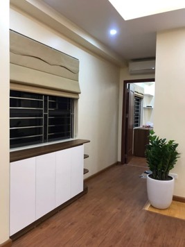 Chính chủ cần bán gấp căn góc chung cư Đại Thanh 1n1w 45m2 giá chỉ 1.5x tỷ