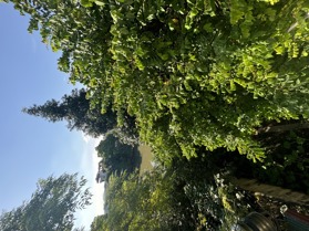 (DT 378M2) BIỆT THỰ SÂN VƯỜN, MẶT TIỀN 8.5M GIÁ 20.55 TỶ MẶT PHỐ PHAN BÁ VÀNH BẮC TỪ LIÊM