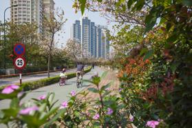 Công chứng giấy tờ tại đường Lake Road, Tây Hồ