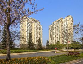 Công chứng giấy tờ tại phố Park, Tây Hồ