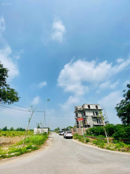 Quỹ chuyển nhượng Cienco 5 Mê Linh giá tốt nhất thị trường! Em cam kết tư vấn trung thực