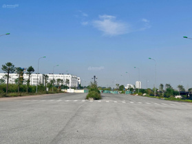 Bán đất dịch vụ Tây Tựu 60m2 phân lô, mặt tiền 5m, 5,9 tỷ tại Tây Thăng Long