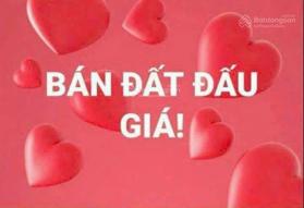 Chính chủ gửi bánLô Đất(LK3x) duy nhất đấu giá Đình Quảng - Mỹ Hưng