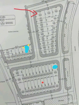 2 siêu phẩm đẹp nhất khu đấu giá chào bán