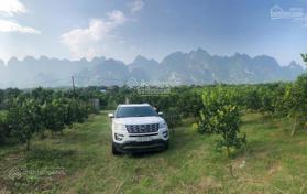 Chính chủ cần bán vườn cam tuyệt đẹp tại Nông trường Thanh Hà - Lạc Thủy - Hòa Bình