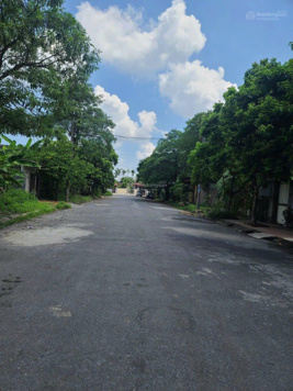 Duy nhất sót lại 100m2 chung cư An Hồng; đường nhựa 16m; sát trường các cấp chợ; giá đầu tư