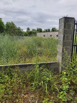 Cần bán 500m2 đất trồng cây lâu năm cạnh đường Hùng Vương xã Phước An Nhơn Trạch Đồng Nai