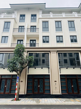 (Nóng) Bán cắt lỗ căn liền kề 65m2 giá 7 tỷ, giá gốc gần 10 tỷ tại dự án Vinhomes Ocean Park 2