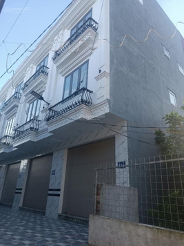 Bán nhà riêng sổ đỏ chính chủ 52m2 tại thôn Đình Ngọ, Hồng Phong, An Dương, Hải Phòng