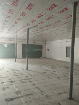 Bán nhà xưởng đầy đủ công năng, hoạt động ngay, đường liên xã rộng rãi Kiến Thụy, Hải Phòng