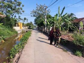 Chính chủ gửi bán lô đất thôn Kính Trực, Tân Phong, Kiến Thụy. Diện tích: 344m2, mặt tiền: 11.7m