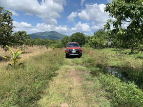 Đất vườn giá đầu tư. Bán 3,5 mẫu đất vườn xoài tại Bắc Bình, Bình Thuận. Giá 850tr/mẫu