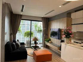 Chính chủ cần bán gấp 2 căn hộ ở D''Capitale TDH, nội thất đẹp, giá rẻ hơn thị trường, vào ở ngay