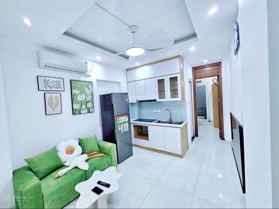 Bán căn hộ mini giá 1,19 tỷ VND tại Phố Trần Bình, Cầu Giấy, Hà Nội