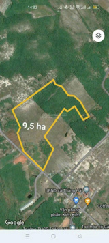 Bình Thuận hot từng ngày nhanh tay sở hữu gần 10 héc rất phù hợp cho các dự án. Lh 0969 962 438