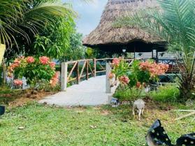 BÁN GẤP ĐẤT VƯỜN 1700M2 ĐÃ CÓ 300 THỔ TẠI TRUNG LẬP HẠ,CỦ CHI,SHR.