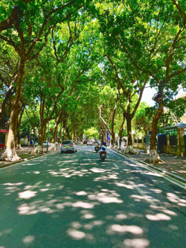 Cần bán nhà mặt phố Phan Đình Phùng, Ba Đình. DT Sổ 85m2 x MT 6m. Vị trí đẹp - KD sầm uất