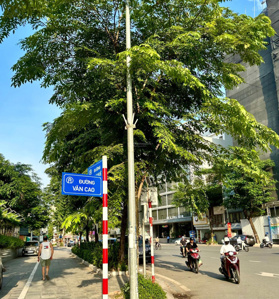 Cần bán nhà lô góc mặt phố Văn Cao, Ba Đình. DT sổ 120m2 x 4T, MT 6m. Vị trí đoạn đẹp nhất phố