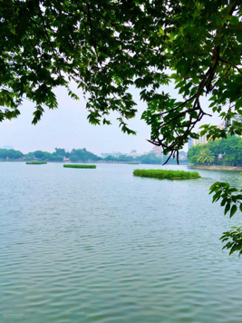 Cần bán nhà lô góc mặt phố Trúc Bạch, Ba Đình. DT 85m2 x MT 6m. Vị trí đoạn rất đẹp, KD sầm uất