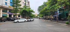 Chính chủ bán gấp 150m2 đất thổ cư, tại phố Đốc Ngữ, Ba Đình, ngõ ô tô vào nhà, giá chỉ 22.5 tỷ