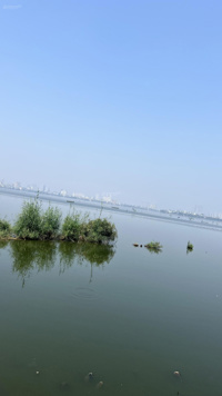 Bán Đất Mặt Hồ, Mặt Phố Yên Hoa, Yên Phụ, Tây Hồ, Hà Nội. Dt 250m2/ mặt tiền 6,63m - Giá 450 Tr/m